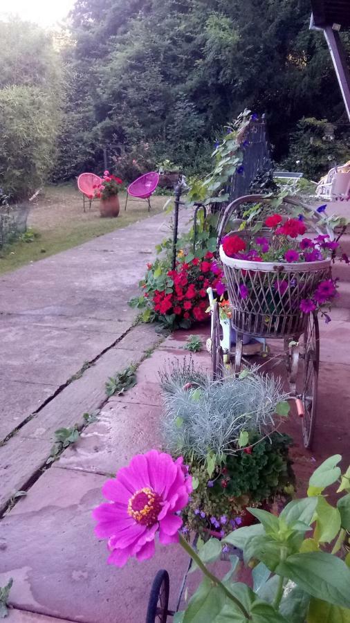 Appartement Cadichon Munster (Haut-Rhin)